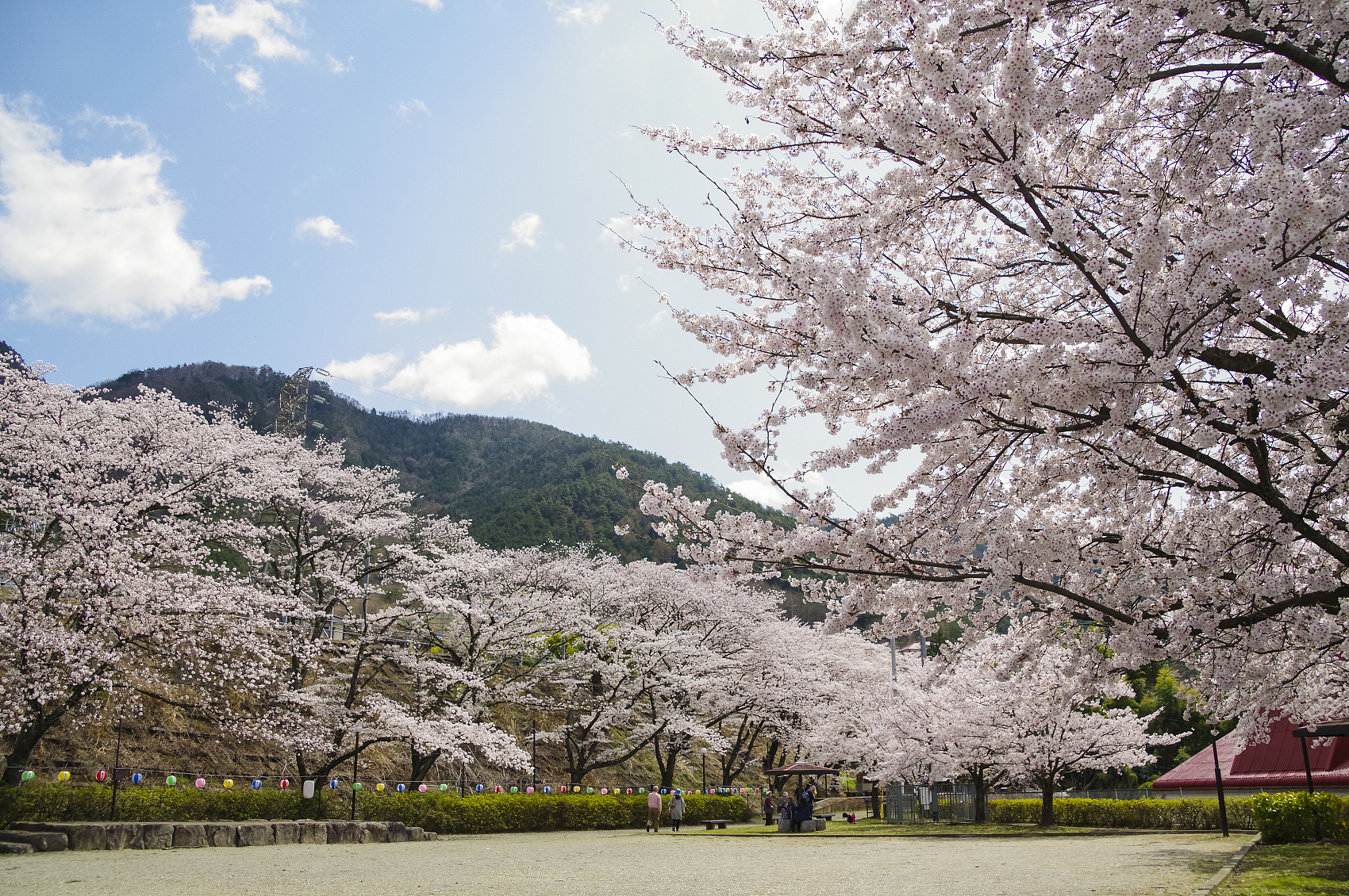 全域旅游建设规划