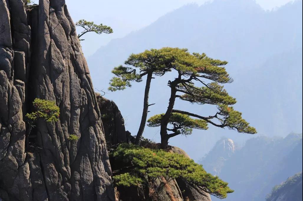 智慧景区